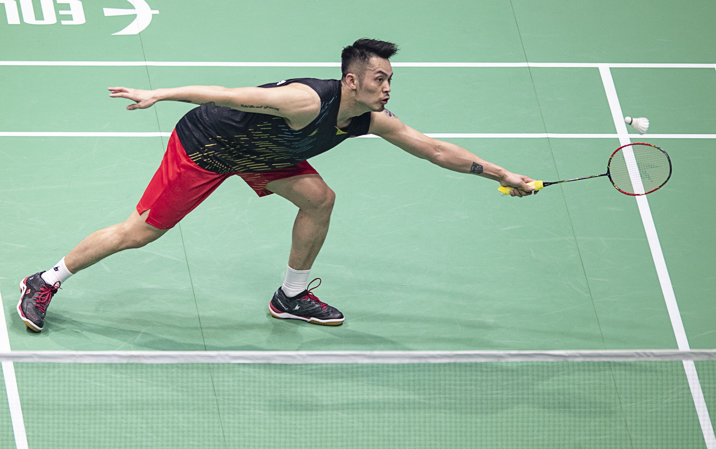 不仅展示了 不仅展示了